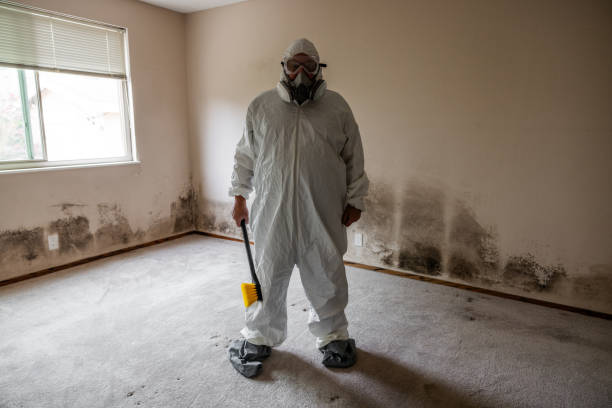 Professional Mold Inspection, Removal & Remediation in Harwich Center, MA